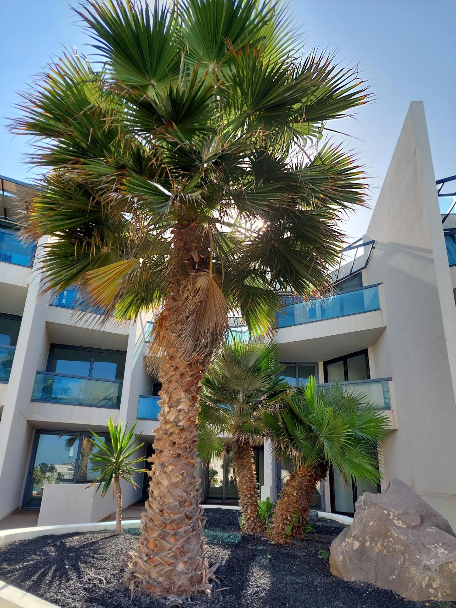 Sunset Spot Fuerteventura Cotillo Seaviews Premium Εξωτερικό φωτογραφία